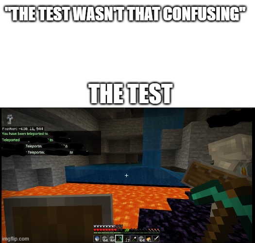 The test | "THE TEST WASN'T THAT CONFUSING"; THE TEST | image tagged in minecraft,confusing,test | made w/ Imgflip meme maker