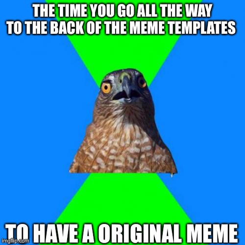 To lazy to add a title |  THE TIME YOU GO ALL THE WAY TO THE BACK OF THE MEME TEMPLATES; TO HAVE A ORIGINAL MEME | image tagged in memes,hawkward | made w/ Imgflip meme maker