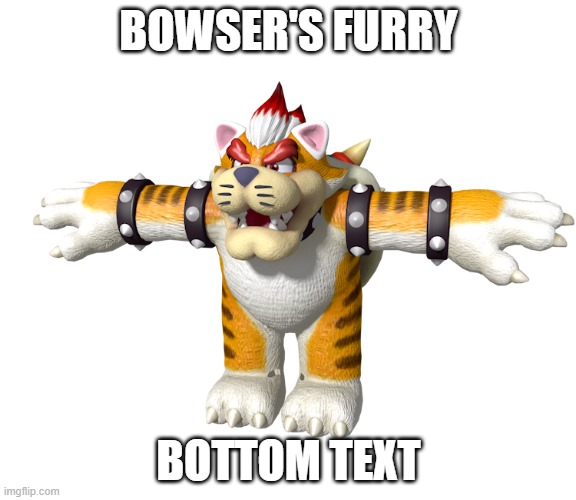 bowser's furry | BOWSER'S FURRY; BOTTOM TEXT | image tagged in tag | made w/ Imgflip meme maker