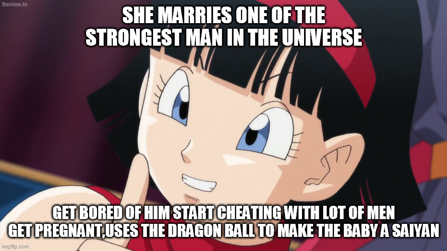 Videl | SHE MARRIES ONE OF THE STRONGEST MAN IN THE UNIVERSE; GET BORED OF HIM START CHEATING WITH LOT OF MEN GET PREGNANT,USES THE DRAGON BALL TO MAKE THE BABY A SAIYAN | image tagged in videl | made w/ Imgflip meme maker