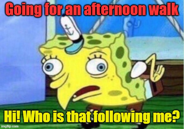 Mocking Spongebob | Going for an afternoon walk; Hi! Who is that following me? | image tagged in memes,mocking spongebob,funny,funny memes,lol so funny | made w/ Imgflip meme maker