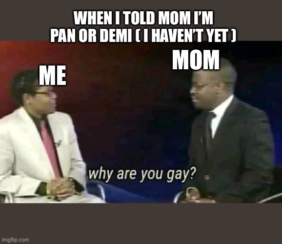 I haven’t yet 0_0 | WHEN I TOLD MOM I’M PAN OR DEMI ( I HAVEN’T YET ); MOM; ME | image tagged in why are you gay | made w/ Imgflip meme maker