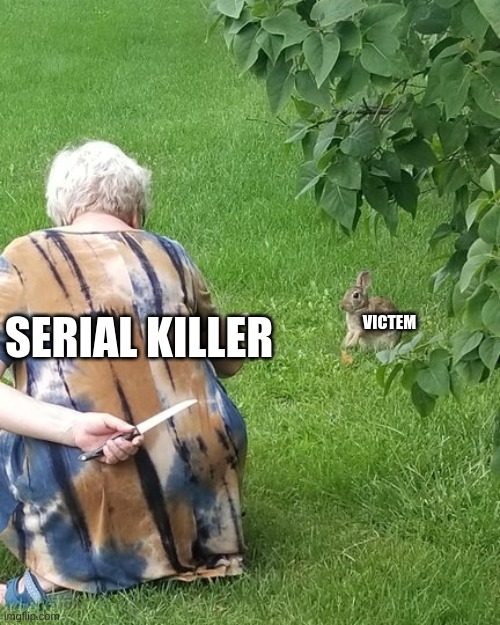 grandma hiding knife rabbit | SERIAL KILLER; VICTEM | image tagged in grandma hiding knife rabbit | made w/ Imgflip meme maker