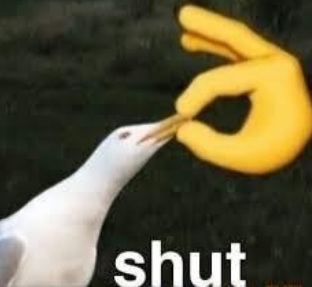 Shut seagull Blank Meme Template