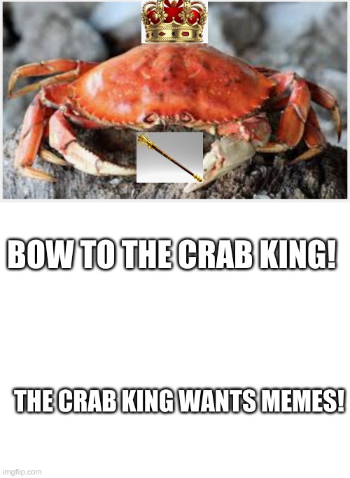 the rise of the crab king | BOW TO THE CRAB KING! THE CRAB KING WANTS MEMES! | image tagged in crab king | made w/ Imgflip meme maker