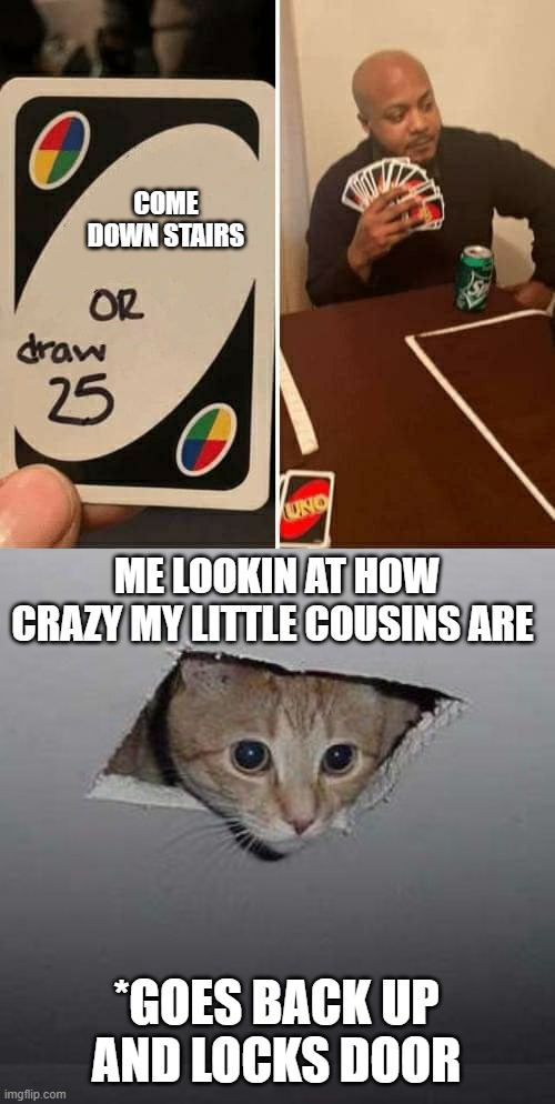 COME DOWN STAIRS; ME LOOKIN AT HOW CRAZY MY LITTLE COUSINS ARE; *GOES BACK UP AND LOCKS DOOR | image tagged in memes,uno draw 25 cards,ceiling cat | made w/ Imgflip meme maker