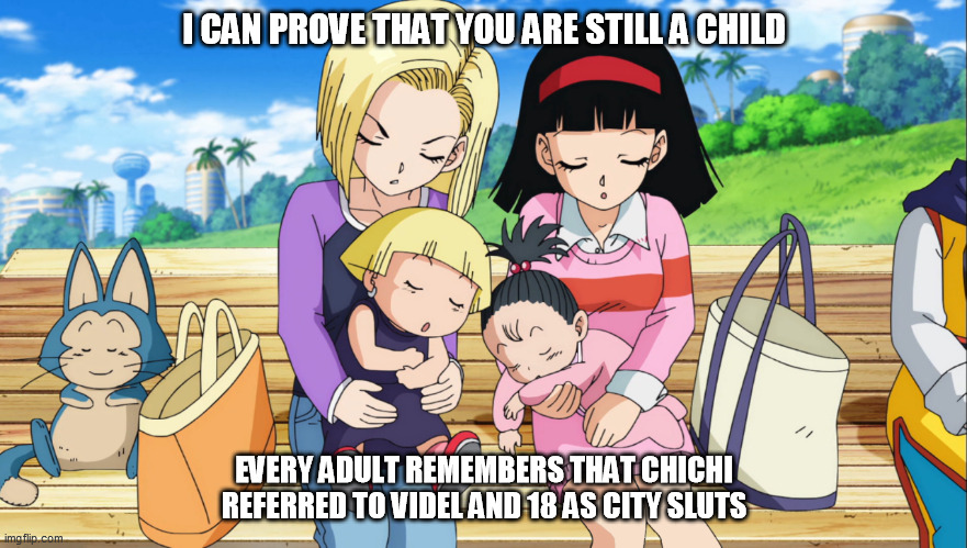 Videl and 18 | I CAN PROVE THAT YOU ARE STILL A CHILD; EVERY ADULT REMEMBERS THAT CHICHI REFERRED TO VIDEL AND 18 AS CITY SLUTS | image tagged in videl and 18 | made w/ Imgflip meme maker