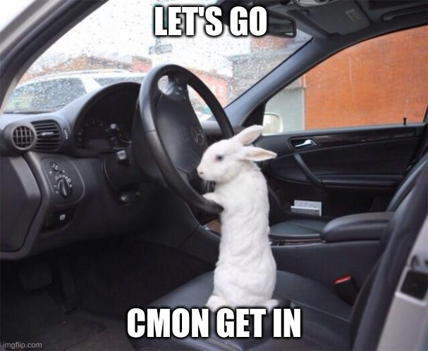 Rabbit driver | LET'S GO; CMON GET IN | image tagged in rabbit driver | made w/ Imgflip meme maker