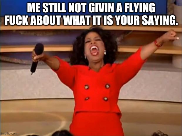 Oprah You Get A Meme | ME STILL NOT GIVIN A FLYING FUCK ABOUT WHAT IT IS YOUR SAYING. | image tagged in memes,oprah you get a | made w/ Imgflip meme maker
