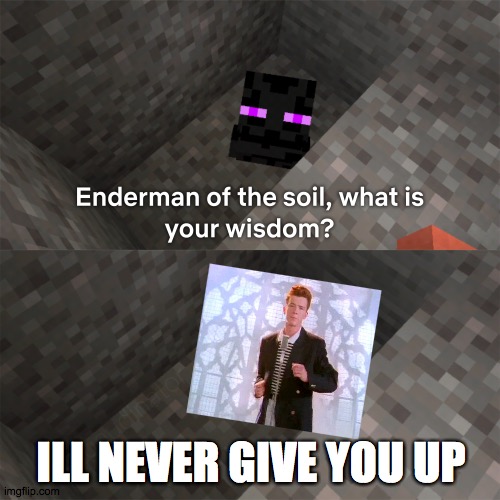 Enderman of the soil | ILL NEVER GIVE YOU UP | image tagged in enderman of the soil | made w/ Imgflip meme maker