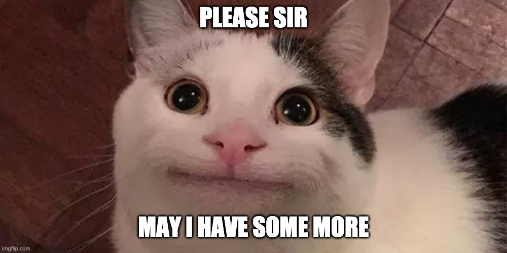 oliver twist cat | PLEASE SIR; MAY I HAVE SOME MORE | image tagged in cats,memes,funny,oliver twist please sir | made w/ Imgflip meme maker