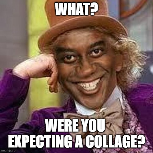 Black | WHAT? WERE YOU  EXPECTING A COLLAGE? | image tagged in black | made w/ Imgflip meme maker