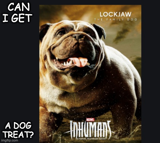 Even aliens have dogs | CAN I GET; A DOG TREAT? | image tagged in marvel,dogs | made w/ Imgflip meme maker