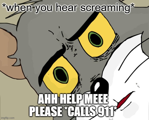 lol | *when you hear screaming*; AHH HELP MEEE PLEASE *CALLS 911* | image tagged in memes,unsettled tom | made w/ Imgflip meme maker