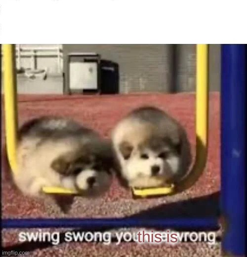 SWING SWONG YOU ARE WRONG | this is | image tagged in swing swong you are wrong | made w/ Imgflip meme maker