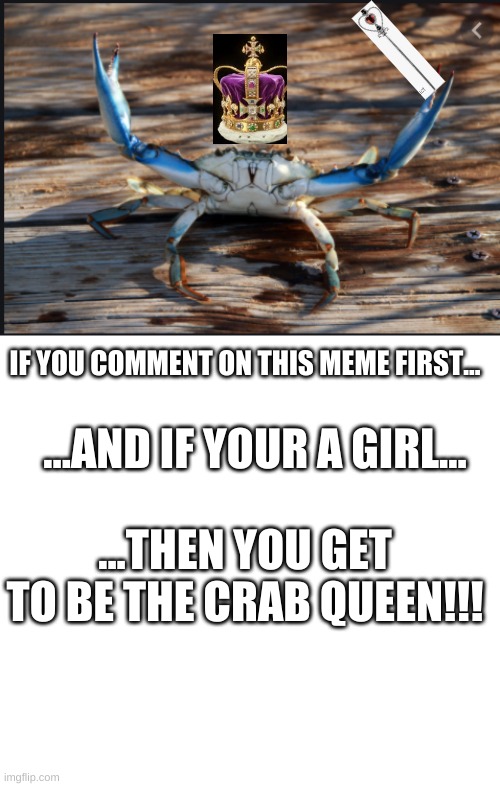 the creation of the crab queen | IF YOU COMMENT ON THIS MEME FIRST... ...AND IF YOUR A GIRL... ...THEN YOU GET TO BE THE CRAB QUEEN!!! | made w/ Imgflip meme maker