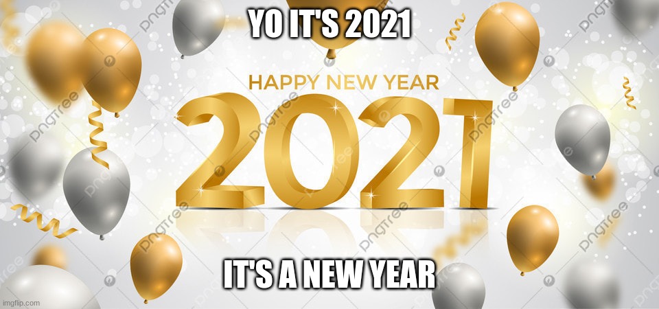 new year | YO IT'S 2021; IT'S A NEW YEAR | image tagged in 2021 | made w/ Imgflip meme maker
