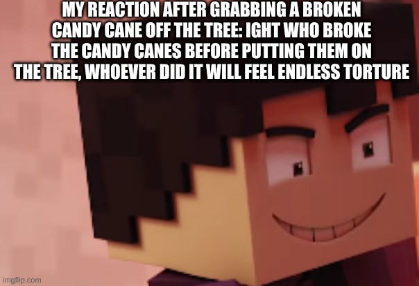 MY REACTION AFTER GRABBING A BROKEN CANDY CANE OFF THE TREE: IGHT WHO BROKE THE CANDY CANES BEFORE PUTTING THEM ON THE TREE, WHOEVER DID IT WILL FEEL ENDLESS TORTURE | image tagged in oof | made w/ Imgflip meme maker