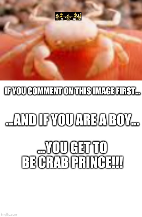 the creation of the crab prince | IF YOU COMMENT ON THIS IMAGE FIRST... ...AND IF YOU ARE A BOY... ...YOU GET TO BE CRAB PRINCE!!! | made w/ Imgflip meme maker