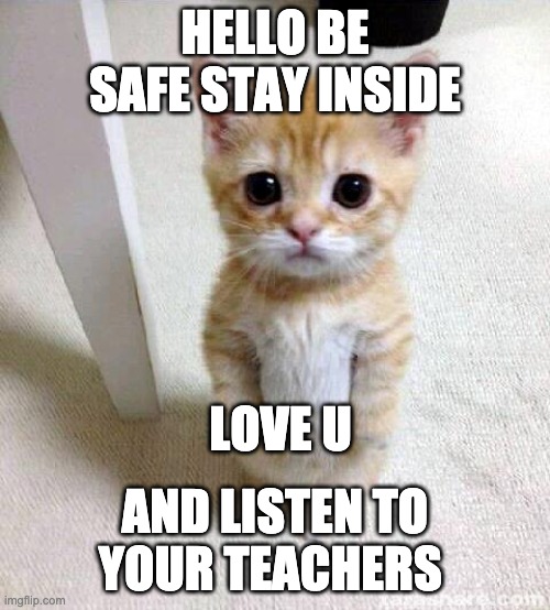 pls read dis | HELLO BE SAFE STAY INSIDE; LOVE U; AND LISTEN TO YOUR TEACHERS | image tagged in memes,cute cat | made w/ Imgflip meme maker