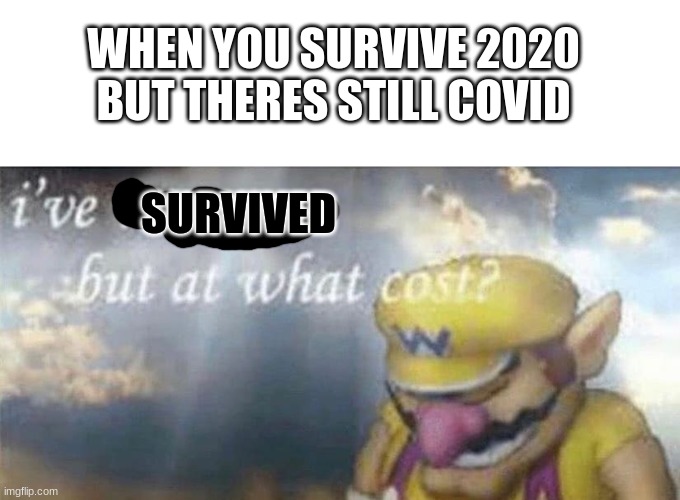 e | WHEN YOU SURVIVE 2020 BUT THERES STILL COVID; SURVIVED | image tagged in ive won but at what cost | made w/ Imgflip meme maker