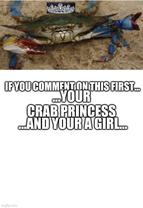 the creation of the crab princess(p.s no being a queen while being a princess neither the other way around)) | ...YOUR CRAB PRINCESS; IF YOU COMMENT ON THIS FIRST... ...AND YOUR A GIRL... | made w/ Imgflip meme maker