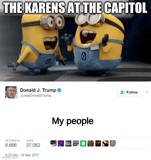 THE KARENS AT THE CAPITOL; My people | image tagged in memes,excited minions,trump tweet blank,capitol hill | made w/ Imgflip meme maker