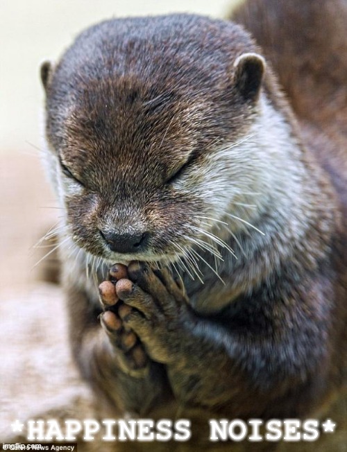 Thank you Lord Otter | *HAPPINESS NOISES* | image tagged in thank you lord otter | made w/ Imgflip meme maker