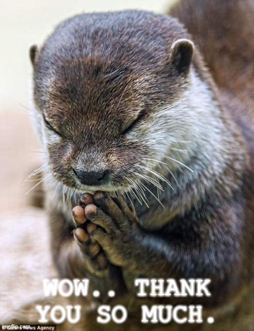 Thank you Lord Otter | WOW.. THANK YOU SO MUCH. | image tagged in thank you lord otter | made w/ Imgflip meme maker