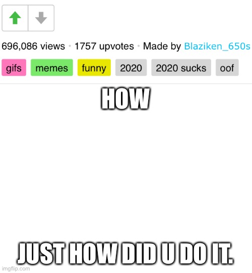 HOW; JUST HOW DID U DO IT. | image tagged in blank white template | made w/ Imgflip meme maker