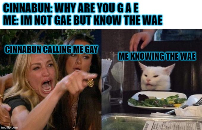 im not gae but know the way, also wtf do i do? | CINNABUN: WHY ARE YOU G A E
ME: IM NOT GAE BUT KNOW THE WAE; CINNABUN CALLING ME GAY; ME KNOWING THE WAE | image tagged in memes,woman yelling at cat,not gae | made w/ Imgflip meme maker