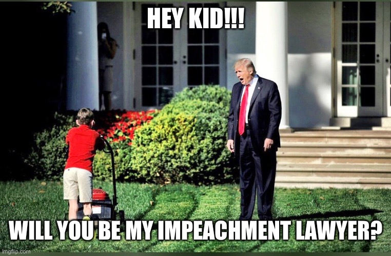 Impeachment lawyer | HEY KID!!! WILL YOU BE MY IMPEACHMENT LAWYER? | image tagged in kid and trump | made w/ Imgflip meme maker