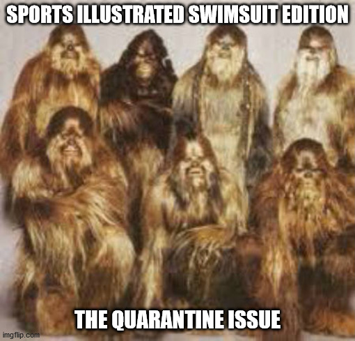 I did it all for the Wookiee | SPORTS ILLUSTRATED SWIMSUIT EDITION; THE QUARANTINE ISSUE | image tagged in girls night in 2021,meme,wookies star wars forest world problems,chewbacca,covid19,sexy girl | made w/ Imgflip meme maker