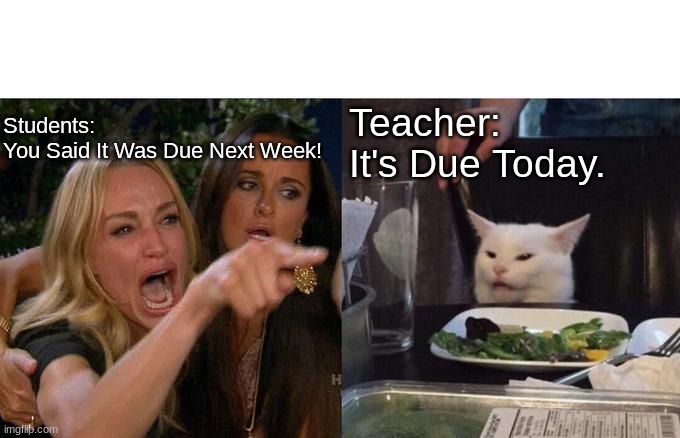 Woman Yelling At Cat Meme | Students:
You Said It Was Due Next Week! Teacher:
It's Due Today. | image tagged in memes,woman yelling at cat | made w/ Imgflip meme maker