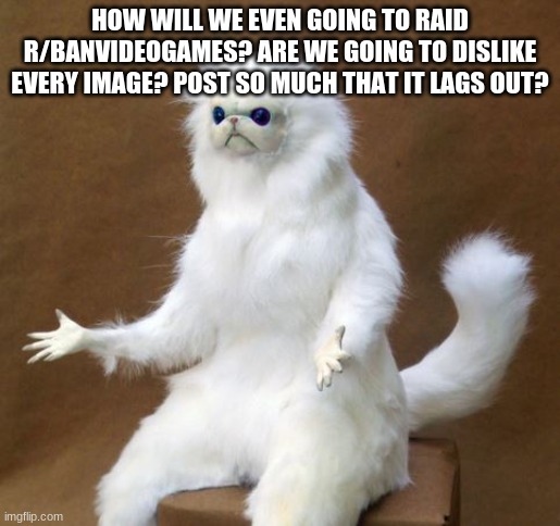 Persian white monkey | HOW WILL WE EVEN GOING TO RAID R/BANVIDEOGAMES? ARE WE GOING TO DISLIKE EVERY IMAGE? POST SO MUCH THAT IT LAGS OUT? | image tagged in persian white monkey | made w/ Imgflip meme maker