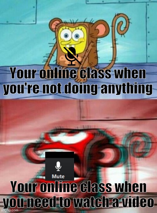 MUTE YOUR MIC!! | Your online class when you're not doing anything; Your online class when you need to watch a video | image tagged in spongebob monkey,zoom,online school,online class | made w/ Imgflip meme maker