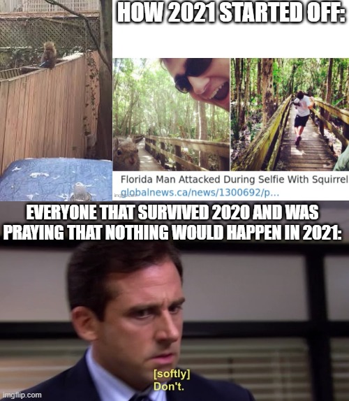 Hopefully the squirrels won't do what the murder hornets did | HOW 2021 STARTED OFF:; EVERYONE THAT SURVIVED 2020 AND WAS PRAYING THAT NOTHING WOULD HAPPEN IN 2021: | image tagged in don't,squirrel,knife | made w/ Imgflip meme maker
