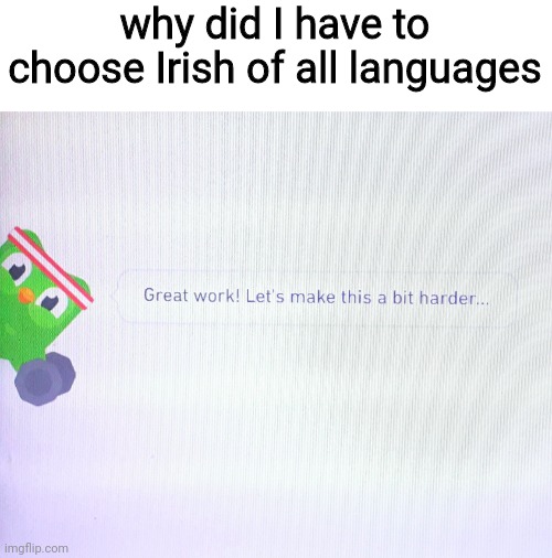 i made a mistake coming back | why did I have to choose Irish of all languages | image tagged in duolingo,duolingo bird | made w/ Imgflip meme maker