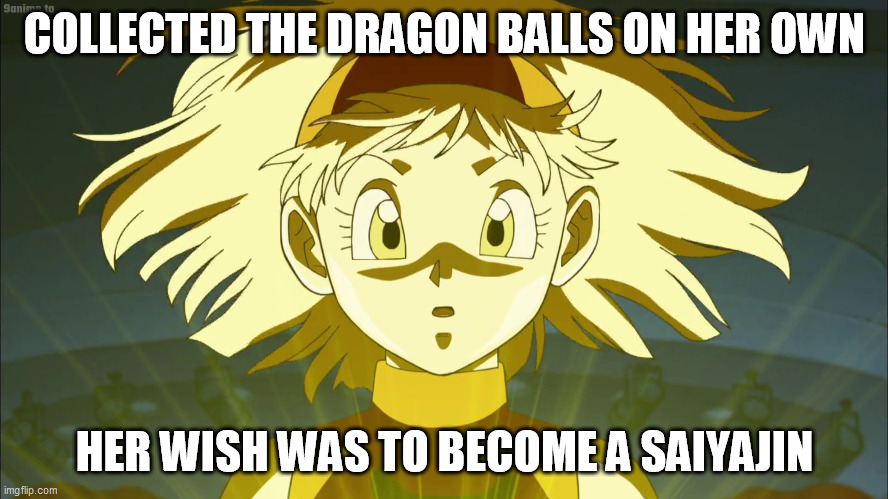 Videl SSJ | COLLECTED THE DRAGON BALLS ON HER OWN; HER WISH WAS TO BECOME A SAIYAJIN | image tagged in videl ssj | made w/ Imgflip meme maker