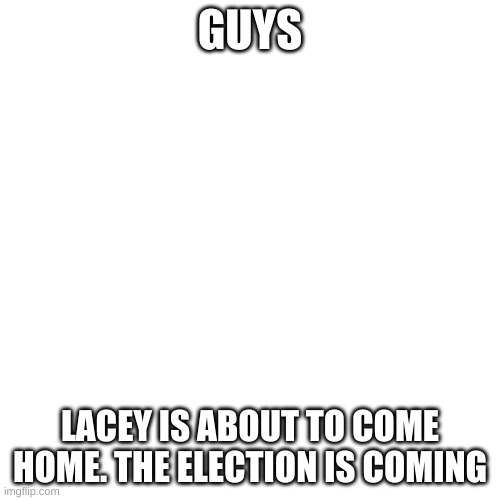 Blank Transparent Square | GUYS; LACEY IS ABOUT TO COME HOME. THE ELECTION IS COMING | image tagged in memes,blank transparent square | made w/ Imgflip meme maker