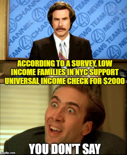 ACCORDING TO A SURVEY, LOW INCOME FAMILIES IN NYC SUPPORT UNIVERSAL INCOME CHECK FOR $2000; YOU DON'T SAY | image tagged in breaking news,you don't say - nicholas cage | made w/ Imgflip meme maker