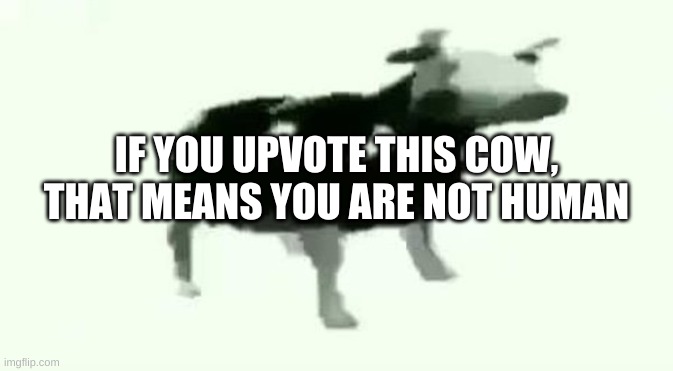 moo | IF YOU UPVOTE THIS COW, THAT MEANS YOU ARE NOT HUMAN | image tagged in memes,funny,cow,upvotes | made w/ Imgflip meme maker