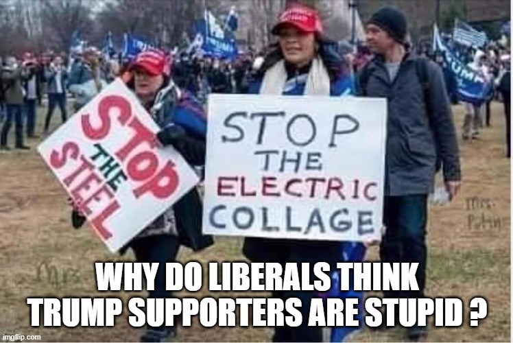 WHY DO LIBERALS THINK TRUMP SUPPORTERS ARE STUPID ? | image tagged in politics,spelling | made w/ Imgflip meme maker