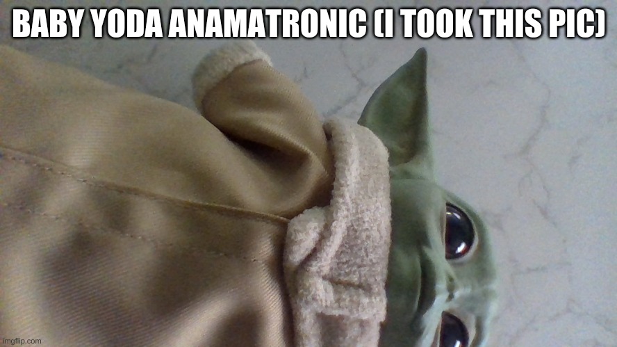 BABY YODA ANAMATRONIC (I TOOK THIS PIC) | made w/ Imgflip meme maker