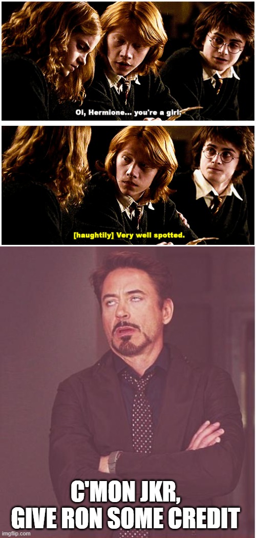 No one is that dense | C'MON JKR, GIVE RON SOME CREDIT | image tagged in hermione you're a girl,memes,face you make robert downey jr | made w/ Imgflip meme maker