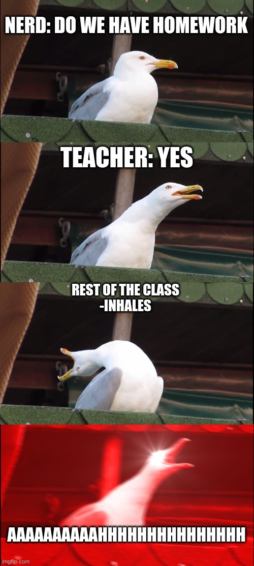 plz no homework | NERD: DO WE HAVE HOMEWORK; TEACHER: YES; REST OF THE CLASS

-INHALES; AAAAAAAAAAHHHHHHHHHHHHHHH | image tagged in memes,inhaling seagull | made w/ Imgflip meme maker