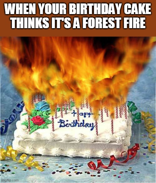 Forest Fire Cake | WHEN YOUR BIRTHDAY CAKE THINKS IT'S A FOREST FIRE | image tagged in flaming birthday cake,memes | made w/ Imgflip meme maker