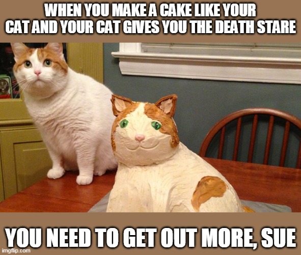 When even the cat thinks you've been home too long | WHEN YOU MAKE A CAKE LIKE YOUR CAT AND YOUR CAT GIVES YOU THE DEATH STARE; YOU NEED TO GET OUT MORE, SUE | image tagged in cat and cat cake,memes,lockdown | made w/ Imgflip meme maker