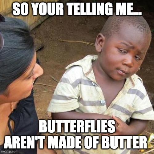 Third World Skeptical Kid Meme | SO YOUR TELLING ME... BUTTERFLIES AREN'T MADE OF BUTTER | image tagged in memes,third world skeptical kid | made w/ Imgflip meme maker