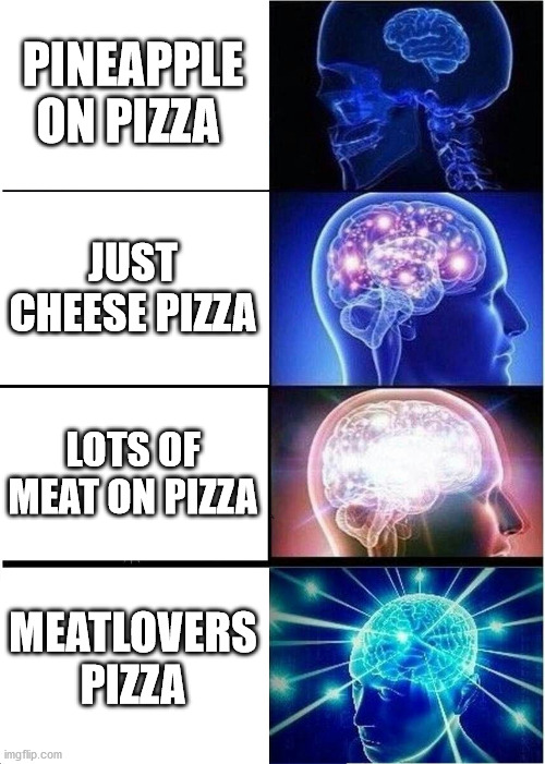 Pizza chart | PINEAPPLE ON PIZZA; JUST CHEESE PIZZA; LOTS OF MEAT ON PIZZA; MEATLOVERS PIZZA | image tagged in memes,expanding brain | made w/ Imgflip meme maker